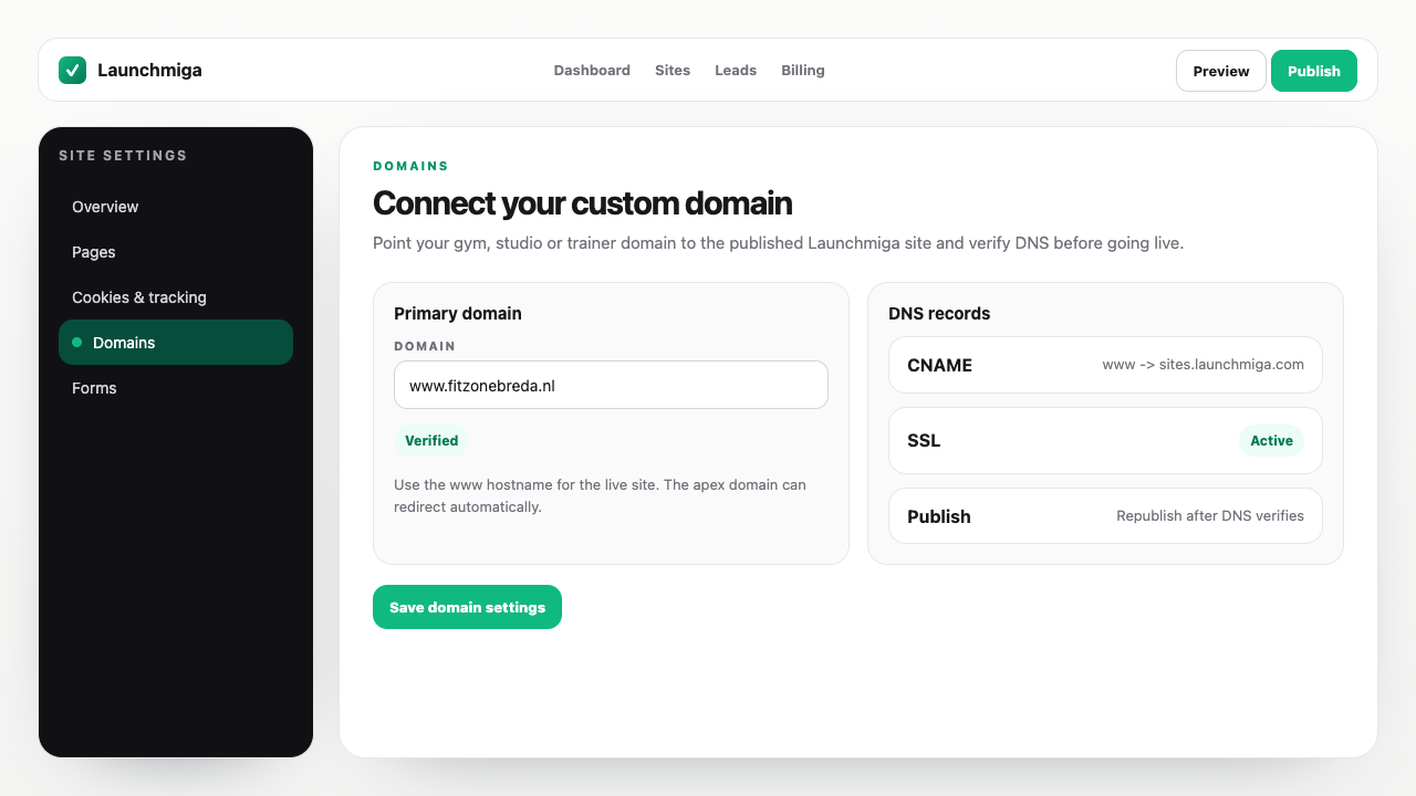 Launchmiga domain settings with primary domain, DNS records and SSL status